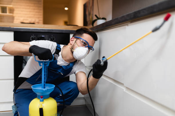 Best Best Pest Control Companies  in Rocky Top, TN