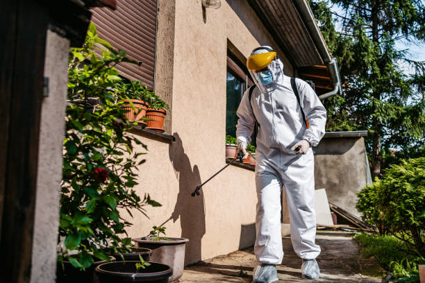 Best Pest Prevention Services  in Rocky Top, TN