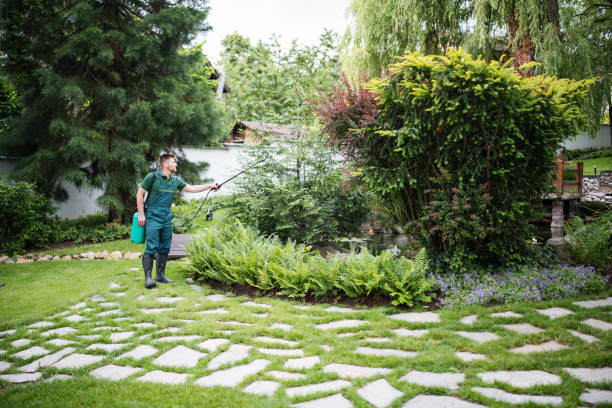 Best Wasp Removal Services  in Rocky Top, TN