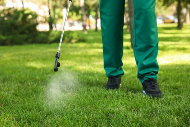 Reliable Rocky Top, TN Pest Control Solutions