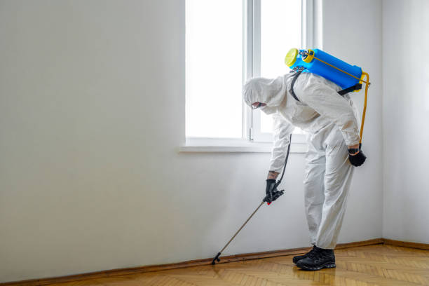 Best Pest Removal Services  in Rocky Top, TN