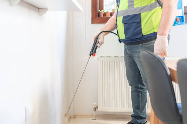 Best Emergency Pest Control  in Rocky Top, TN
