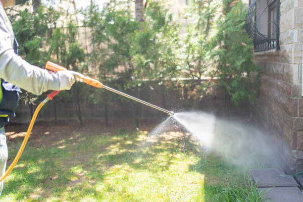 Pest Prevention Services in Rocky Top, TN